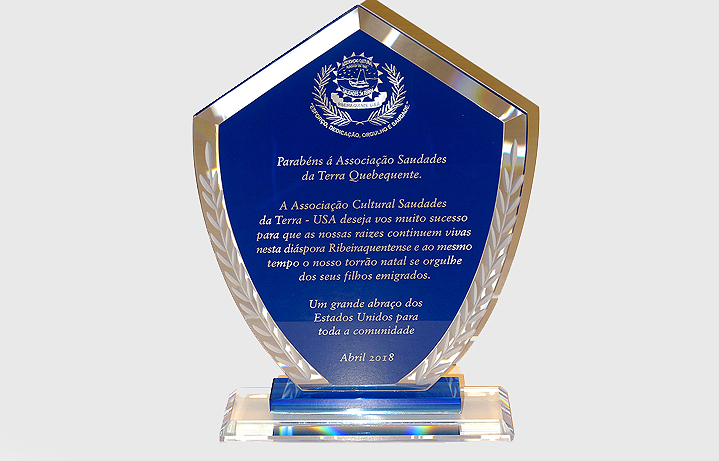 9 in. Tall shield shaped glass recognition award